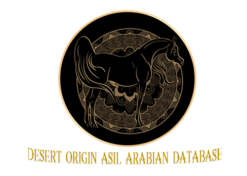 Asil Arabian Breeders' Alliance