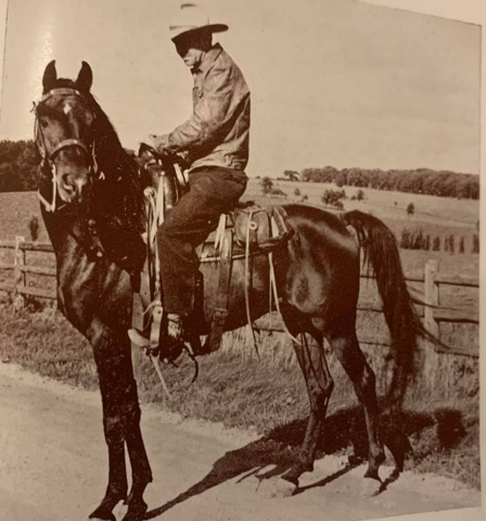 Faddan (Fadl x Bint Saada) 1935 Saqlawi Gidran . One of the greatest sires