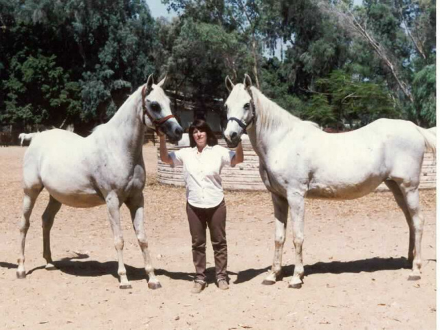 Barada (Barrada) left and Atbara her dam on the right (Judi Parks middle)