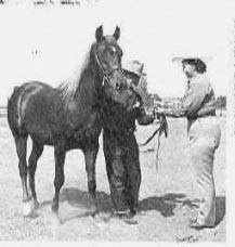 Disaan (Fay-El Dine x Fa Saana) 1948 Dahman Shahwan