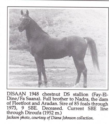 Disaan (Fay-El Dine x Fa Saana) 1948 Dahman Shahwan