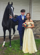 <b>Description: </b>2025 photo of Hu El Hatal at Hughes Arabians, USA<br/>