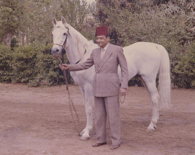 Ahmed Hamza Pasha with Hamdan (Ibn Rabdan x Bint Radia (Bint Ghadia)