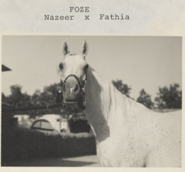 <b>Description: </b>Foze (Nazeer x Fathia) 1959 Hadbah Enzahiyah.  Photo at Hamdan Stables<br/><b>Copyright: </b>Judith Forbis photo