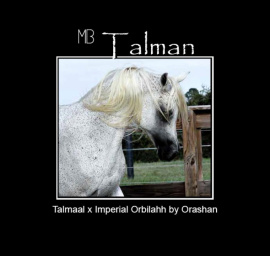 <b>Description: </b>MB Talman   Talmaal x Imperial Orbilahh<br/>