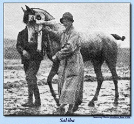 <b>Description: </b> Sahiba is photographed here with Teresa Raciborska her owner and also owner of Breniow Stud. (source arieana stud)<br/>