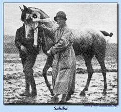  Sahiba is photographed here with Teresa Raciborska her owner and also owner of Breniow Stud. (source arieana stud)