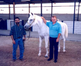 <b>Description: </b>Hebet Allah in her final home in Saudi Arabia at the stud farm owned by Khaled Saad Al Haddad.  Photo is Khalid on the left and Al Parks on the right.<br/>