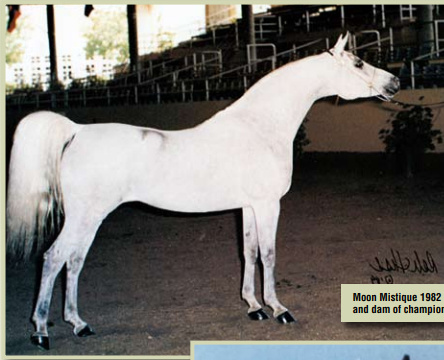 MOON MYSTIQUE (El Hilal x Nafairtiti by *Morafic)