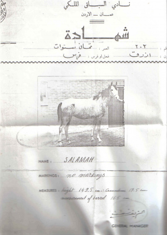 salamah jordan