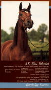 <b>Description: </b>AK BINT TALEEBA (*Ibn Moniet El Nefous x Taleeba by *Talal)<br/><b>Copyright: </b>Judith