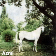 <b>Description: </b>Azmi //Nahr El Nil// Nil  (Sid Abouhom x Malaka) 1954 Kuhaylan Ajuz Ibn Rodan<br/>