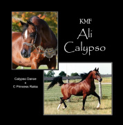 <b>Description: </b>KMF ALI CALYPSO DANCE (Calypso Dance x C Princess Rakia by Ruminaja Ali)<br/>