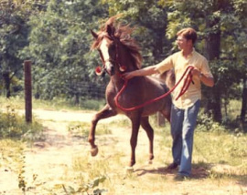 <b>Description: </b>Lothar (fadl x Habba) 1955. Here photographed with his owner Walter Schimanski<br/><b>Copyright: </b>Arabian Horse World, August 1982