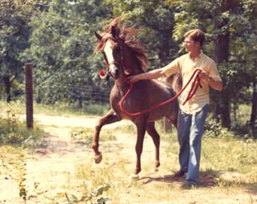 Lothar (fadl x Habba) 1955. Here photographed with his owner Walter Schimanski