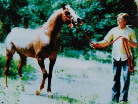 <b>Description: </b>Lothar (fadl x Habba) 1955. Here photographed with his owner Walter Schimanski<br/>