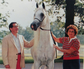 <b>Description: </b>Ruminaja Ali (Shaikh Al Badi x Bint Magidaa) 1976 Abeyyan Om Jurays, with Don and Marge Saluti, Birknoll Arabians<br/>