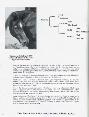 Misimma (Fa-Serr x Fay Khedena) 1957 Saqlawiah Gidraniyah Ibn Sudan