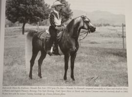 <b>Description: </b>Masada Ben Asar (Fa Asar x Masada Fa Hannah) 1992 Dahman Shahwan. Here with his trainer Tammy Sandidge<br/><b>Copyright: </b>Diana Johnson photo