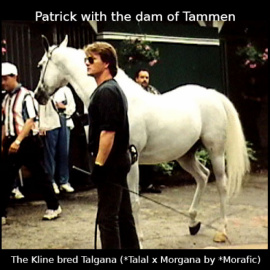 <b>Description: </b>Talgana     *Talal x Morgana by *Morafic  dam of Tammen with Patrick Swayze<br/>