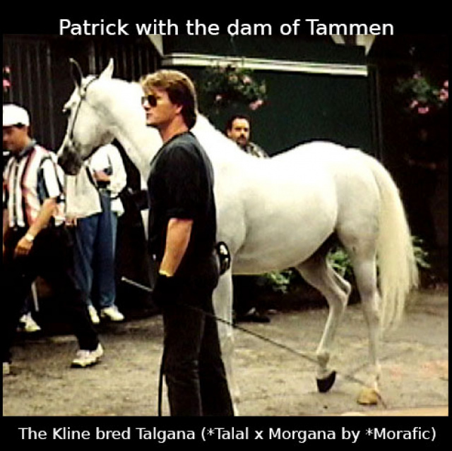 Talgana     *Talal x Morgana by *Morafic  dam of Tammen with Patrick Swayze