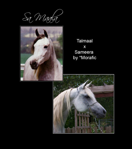 SA MAALA    Talmaal x Sameera by *Morafic