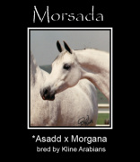 <b>Description: </b>MORSADA     *Asadd++ x Morgana by *Morafic<br/>