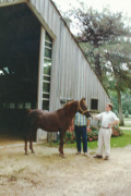 <b>Description: </b>Serr Rou  (Ibn Fa-Serr x Bahrou) 1975 Saqlawi Gidran Ibn Sudan. Here pictured at Babson Arabian Farm with John Vogel and Gert Stam<br/><b>Copyright: </b>Stam photo