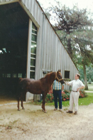 Serr Rou  (Ibn Fa-Serr x Bahrou) 1975 Saqlawi Gidran Ibn Sudan. Here pictured at Babson Arabian Farm with John Vogel and Gert Stam