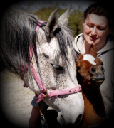 <b>Description: </b>Nadara Bint Sabiya (Masada Ben Asar x Zahara Sabiya) 2004 Dahmah Shahwaniyah. Here with her filly Vlacq Amurrah<br/><b>Copyright: </b>Vlacq Stud archivie