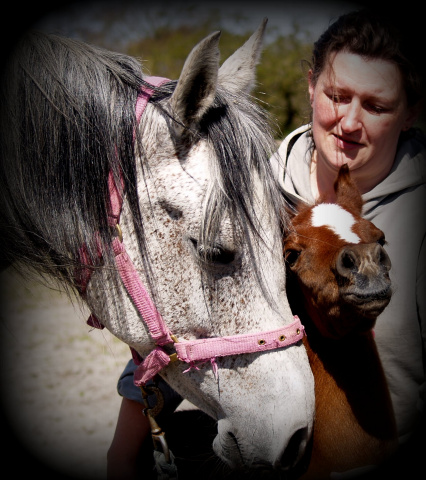 Nadara Bint Sabiya (Masada Ben Asar x Zahara Sabiya) 2004 Dahmah Shahwaniyah. Here with her filly Vlacq Amurrah