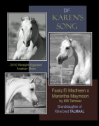 <b>Description: </b>DF Karens Song - pictures by C Emmert, collage by Laura Jacobson<br/><b>Copyright: </b>pictures by C Emmert, collage by Laura Jacobson