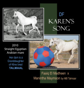 <b>Description: </b>DF Karens Song - pictures by C Emmert, collage by Laura Jacobson<br/><b>Copyright: </b>pictures by C Emmert, collage by Laura Jacobson