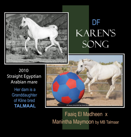 DF Karens Song - pictures by C Emmert, collage by Laura Jacobson