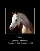 <b>Description: </b>*Talal - head shot Polly Knoll<br/>