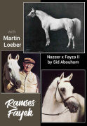 <b>Description: </b>RAMSES FAYEK   Nazeer x Fayza II by Sid Abouhom<br/>