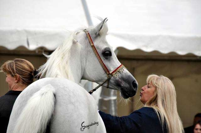 BINT TAHANIE (Suhal Al Nasser x Tahanie by Ibn Morafic+++) with owner Nayla Hayek