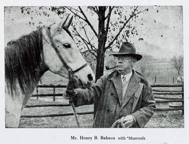 Maaroufa (Ibn Rabdan x Mahroussa) 1931 Saqlawiyah Gidraniyah Ibn Sudan, here  with her owner H.B. Babson