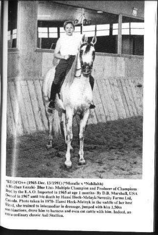 Khofo (Morafic x Nabilahh) 1965 Hadban Enzahi