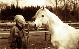 <b>Description: </b>Taymour with his owner Rolf Dobat<br/>