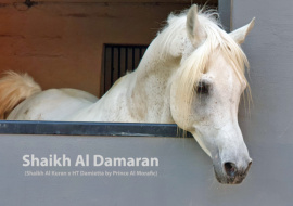 <b>Description: </b>Shaikh Al Damaran<br/><b>Copyright: </b>Patrick Vermuyten