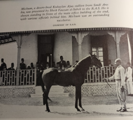 <b>Description: </b>Mashaan ( KUhaylan Ajuz  El Jubur  x Kuhaylah Ajuza El Jubur) 1925 Kuhaylan Ajuz  Saudi Arabia Desert Bred<br/>