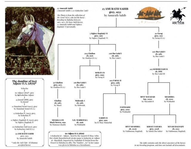 The modern family of 25 Amurath Sahib