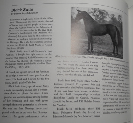 <b>Description: </b>Black Satin (Black Sambo x Diroufa) 1960 Saqlawiyah Gidraniyah Ibn Sudan<br/><b>Copyright: </b>Memories from "The Babson Influence-A Retrospective-"