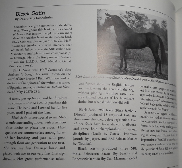 Black Satin (Black Sambo x Diroufa) 1960 Saqlawiyah Gidraniyah Ibn Sudan